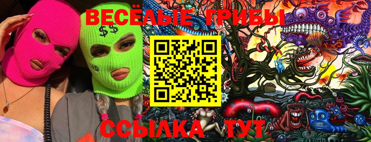 Псилоцибиновые грибы Psilocybine cubensis Кудымкар