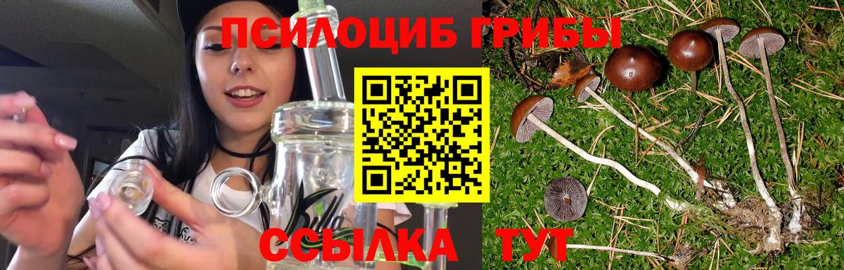 сколько стоит  Галлюциногенные грибы Psilocybine cubensis  Вход с VPN  Кудымкар 